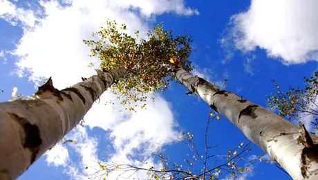 Vremea.Apropo.ro: Prognoza meteo pentru vineri, 4 aprilie 2014