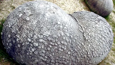 Trovantii, „pietrele care cresc” la Costesti