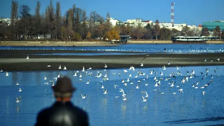 Vremea.Apropo.ro: Temperaturile cresc ușor în următoarele zile