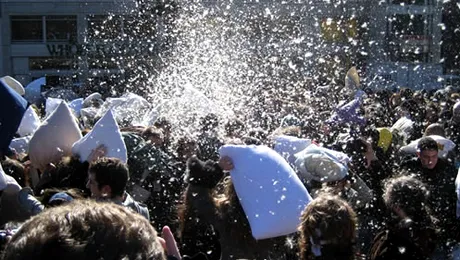 UPDATE: Ia-ti perna si vino la Universitate, la Fantani!