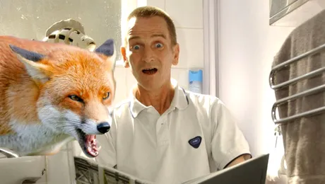 Bărbat atacat de vulpe în timp ce era așezat pe WC