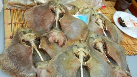 Delicatesă coreeană: pește fermentat cu miros de toaletă