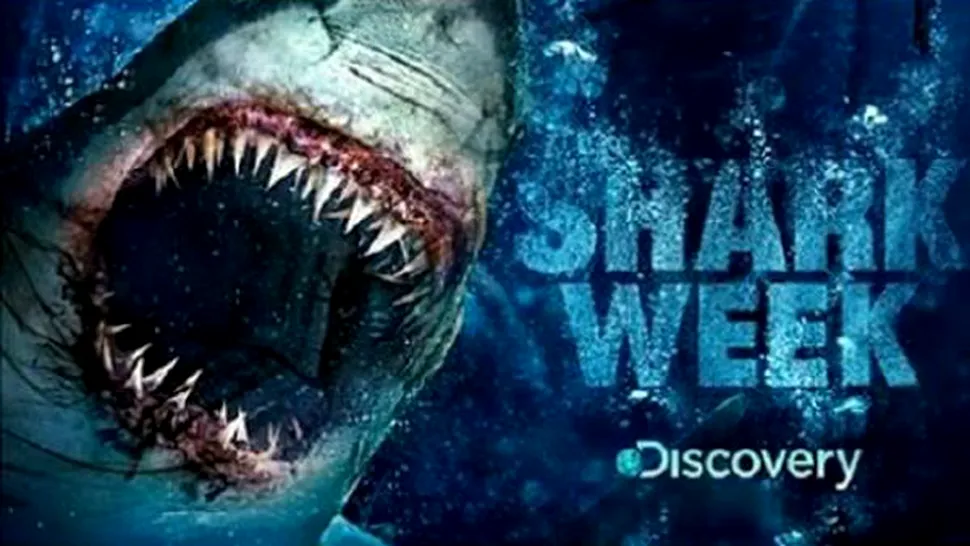 
Shark Week îşi arată din nou colţii pe Discovery Channel
