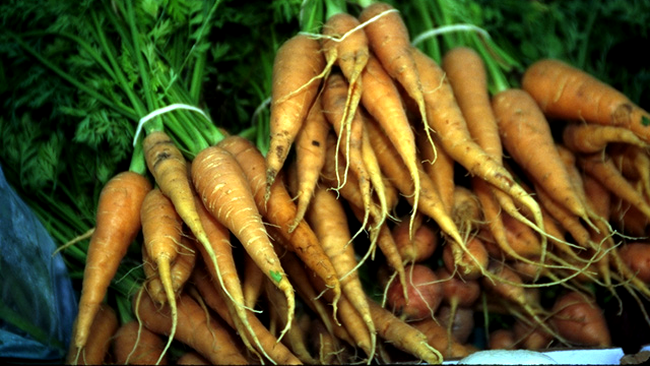 morcovii asa cum ii cunoastem azi