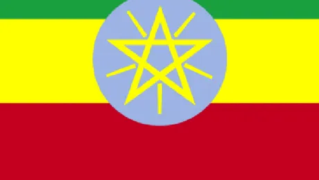 Etiopia: Folosirea Skype te poate băga 15 ani în închisoare!