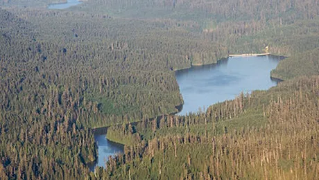 Grapini: Străinii pot cumpăra fără restricții terenuri