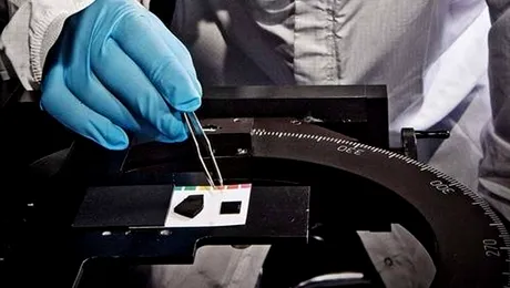 Nasa a creat un material de 10 ori mai negru decat cea mai neagra vopsea