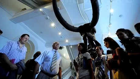 Muzeul Antipa din București a fost atracția principală a Nopții Muzeelor