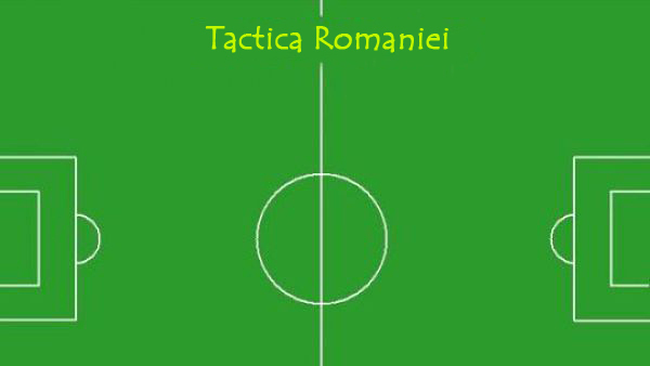 Tactica Romaniei la Campionatul Mondial 2010