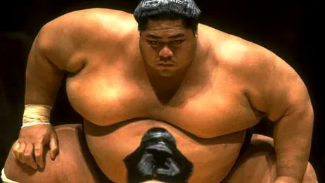 Câte calorii conține dieta zilnică a unui luptător de sumo!