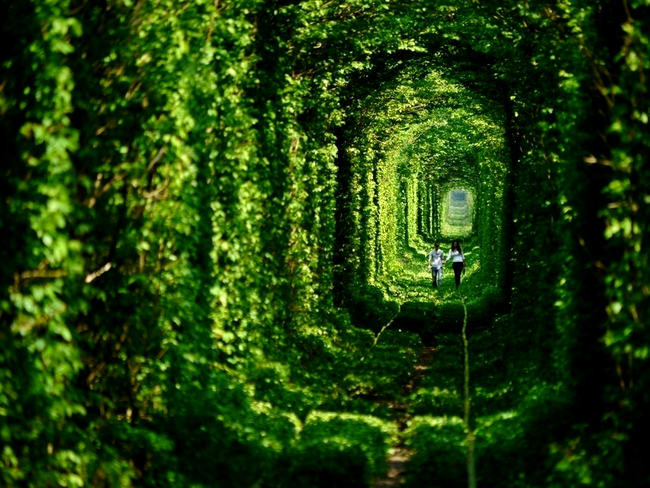 Tunelul Dragostei, Ucraina