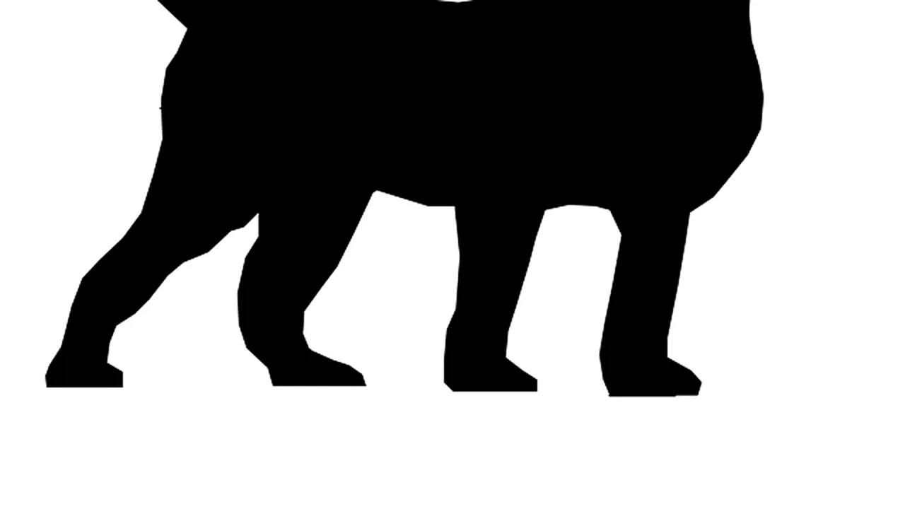 1-dog-163658-640 