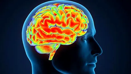 Memoria slăbește de la 30 de ani