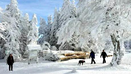 Ne asteapta o iarna grea, precum o „mini era glaciara”