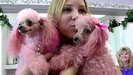 Maraton MTV „My Super Sweet 16 Weekend”