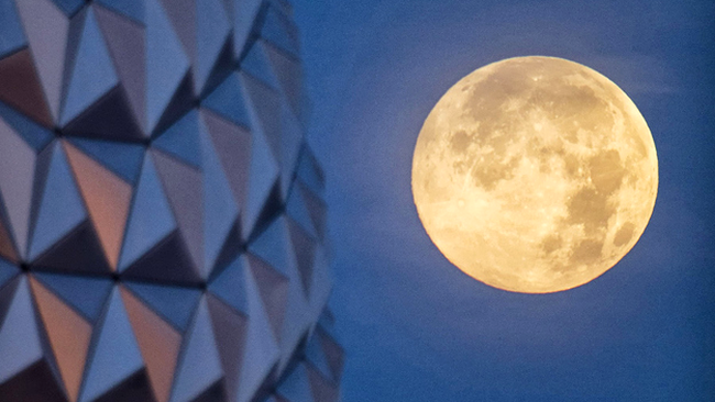 Walt Disney World Resort, Florida