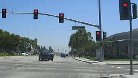 Americanii, prinsi cu cioara vopsita