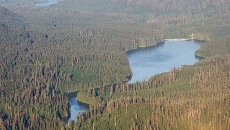 Trimis la închisoare pentru colectarea apei de ploaie