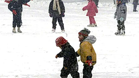 Patinoarele Capitalei, gheata poarta!