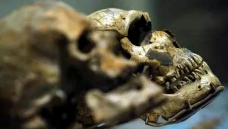 Primul cuvant rostit de om