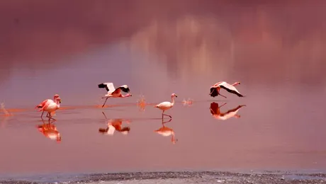 Top 10: Cele mai frumoase lacuri (Poze)