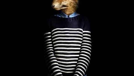 17 animale care se îmbracă mai bine decât tine