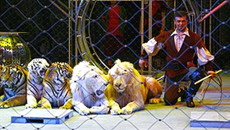 A opta editie a Galelor Circului