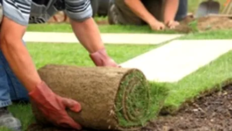 R. Moldova: Gazonul montat pentru vizita lui Merkel a fost furat