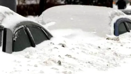 Cod rosu de ninsori in Bulgaria