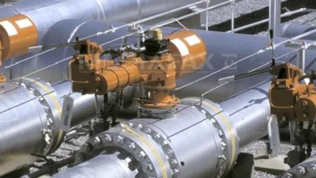 De la 1 noiembrie, firmele nu vor mai primi gaze naturale la pret redus