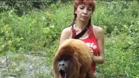 Clipul zilei: Maimuța care le dă lecții artiștilor heavy metal