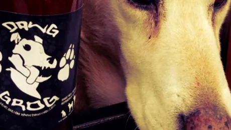 Berea pentru câini, lansată de o companie americană