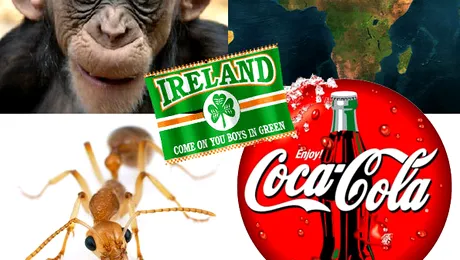 Curiozitati despre lumea inconjuratoare!