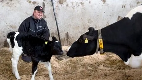 Zoofilia a fost declarată ilegală în Suedia