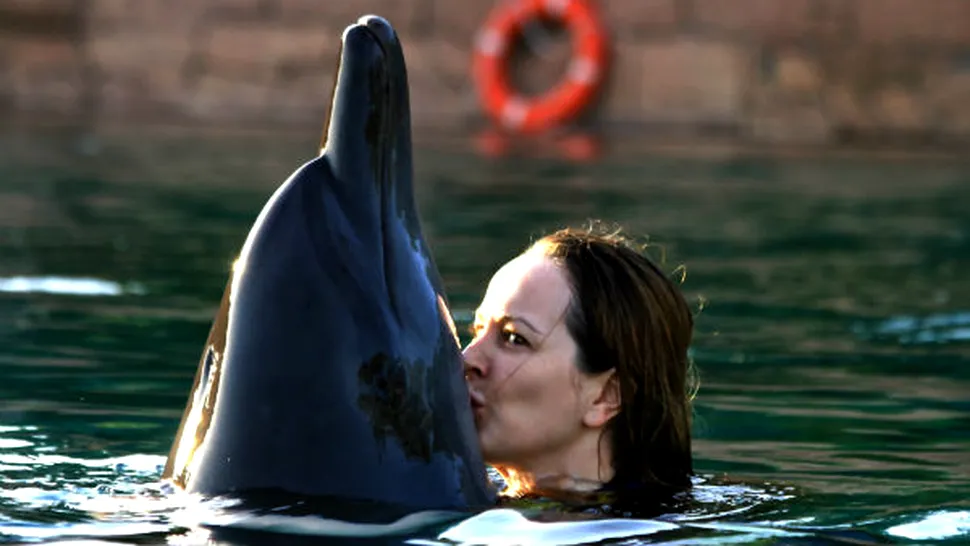 Delia Antal s-a pupat cu delfinii în Dubai