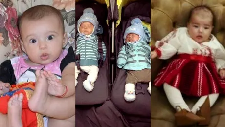 La cine a venit barza în 2013? FOTO