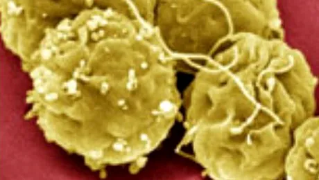 S-a creat viata artificiala din 4 flacoane de chimicale