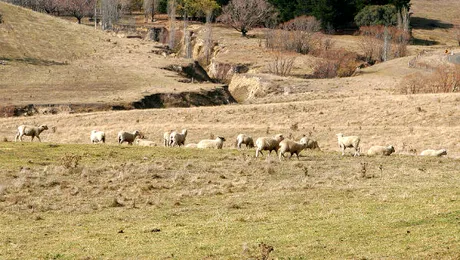 Cum se formează solul?