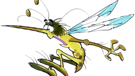 Raid eficient impotriva insectelor, zi si noapte!