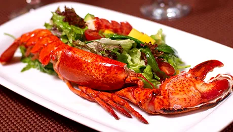 Festivalul Racilor 2014: 3-5 octombrie, în Parcul Herăstrău