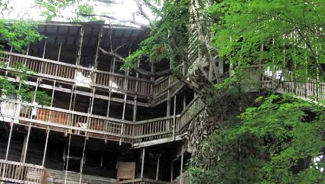 Cea mai mare casă construită într-un copac are 10 etaje! (Poze)