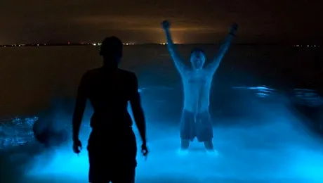 BIZAR: Lacul fosforescent din Australia (Poze)