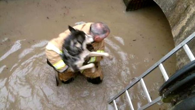 operatiune de salvare