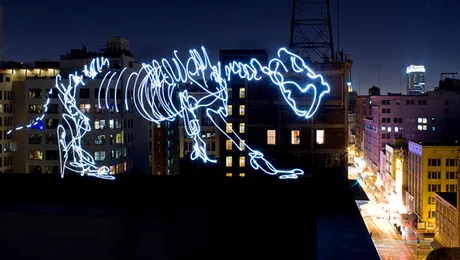 Cum poti picta folosind o lanterna si un aparat foto (Poze)