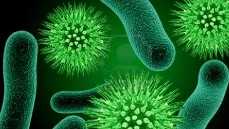 De ce bacteriile sunt folositoare oamenilor?