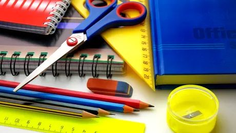 (P) Cum contribuie cursurile educaționale pentru copii la dezvoltarea abilităților sociale și emoționale ale acestora