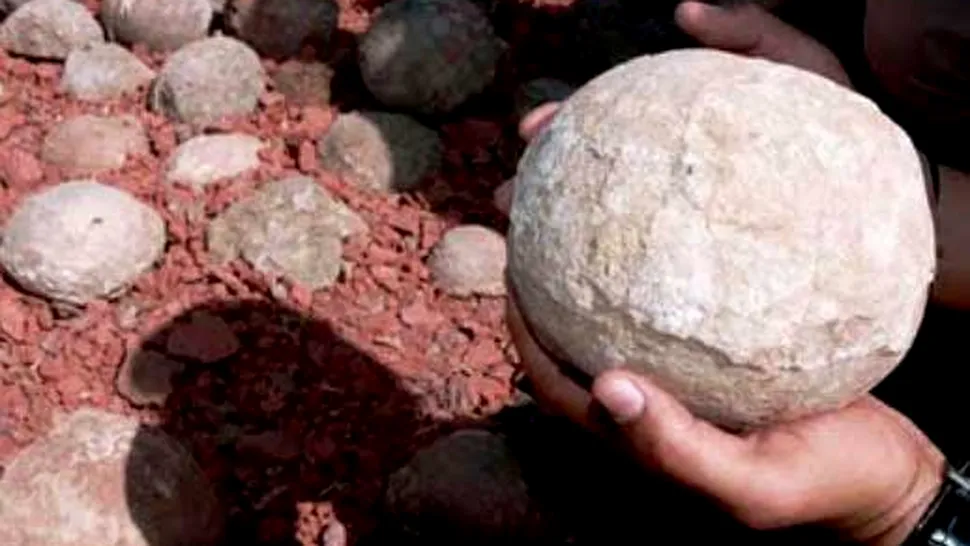 Sute de cuiburi cu oua de dinozauri, descoperite in India!