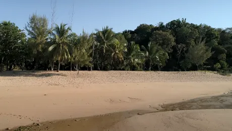 Concurenţii din ”Ultimul Trib” care vor ajunge pe insula pustie trebuie să îşi găsească toate resursele de inventivitate – FOTO