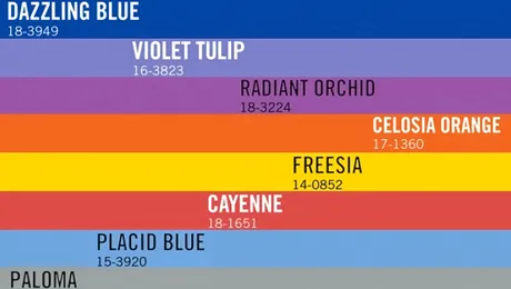 Violet vibrant, culoarea anului 2014