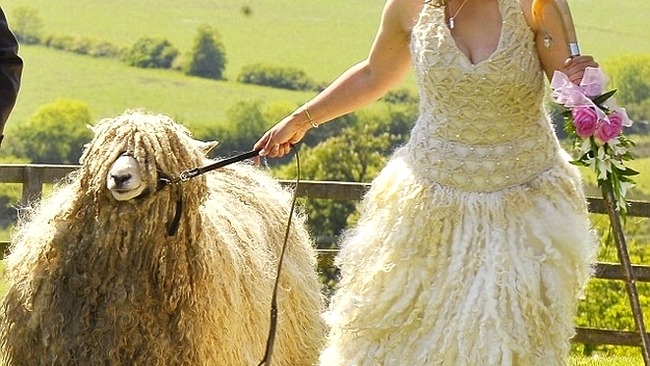 Rochie de mireasă făcută din lâna uneia din oile miresei